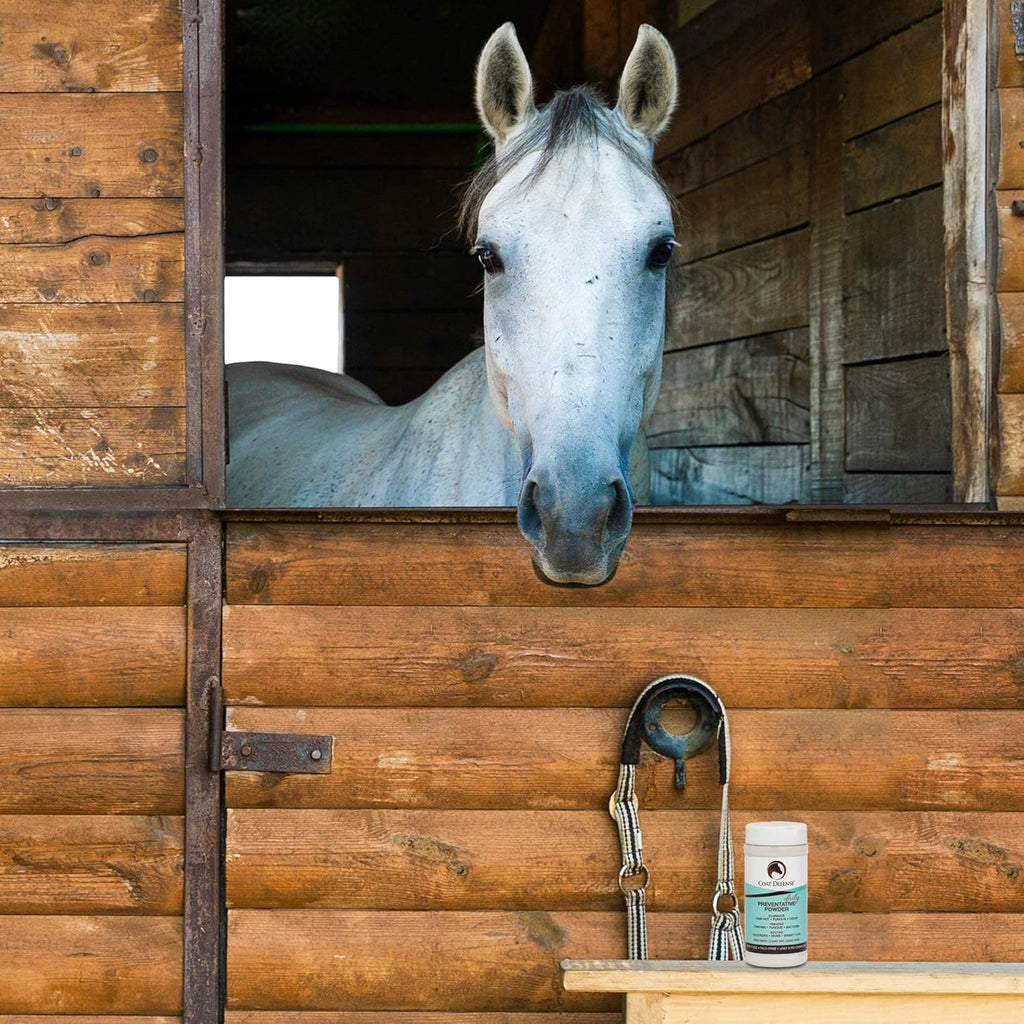 Daily Preventative Powder for Horses - Safe & Effective Equine Skin Conditioner Sweet Itch, Skin Funk, & Rain Rot - Dry Horse Shampoo, 64 Oz Formula with All Natural Ingredients