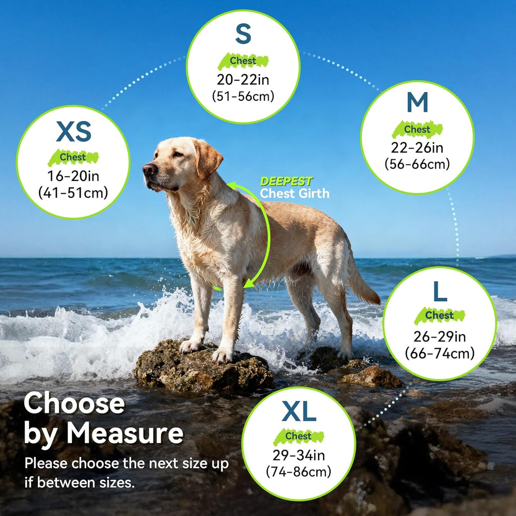 New Neoprene Sports Style Dog Life Jackets, Snug & Safer Dog Life Vest with Superior Buoyancy & Rescue Handle